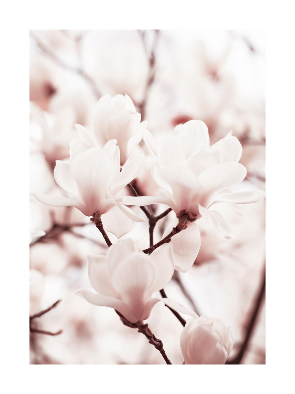 Magnolie Duftwachsmelts Duftwachs Floma Candle & More