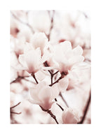 Magnolie Duftwachsmelts Duftwachs Floma Candle & More