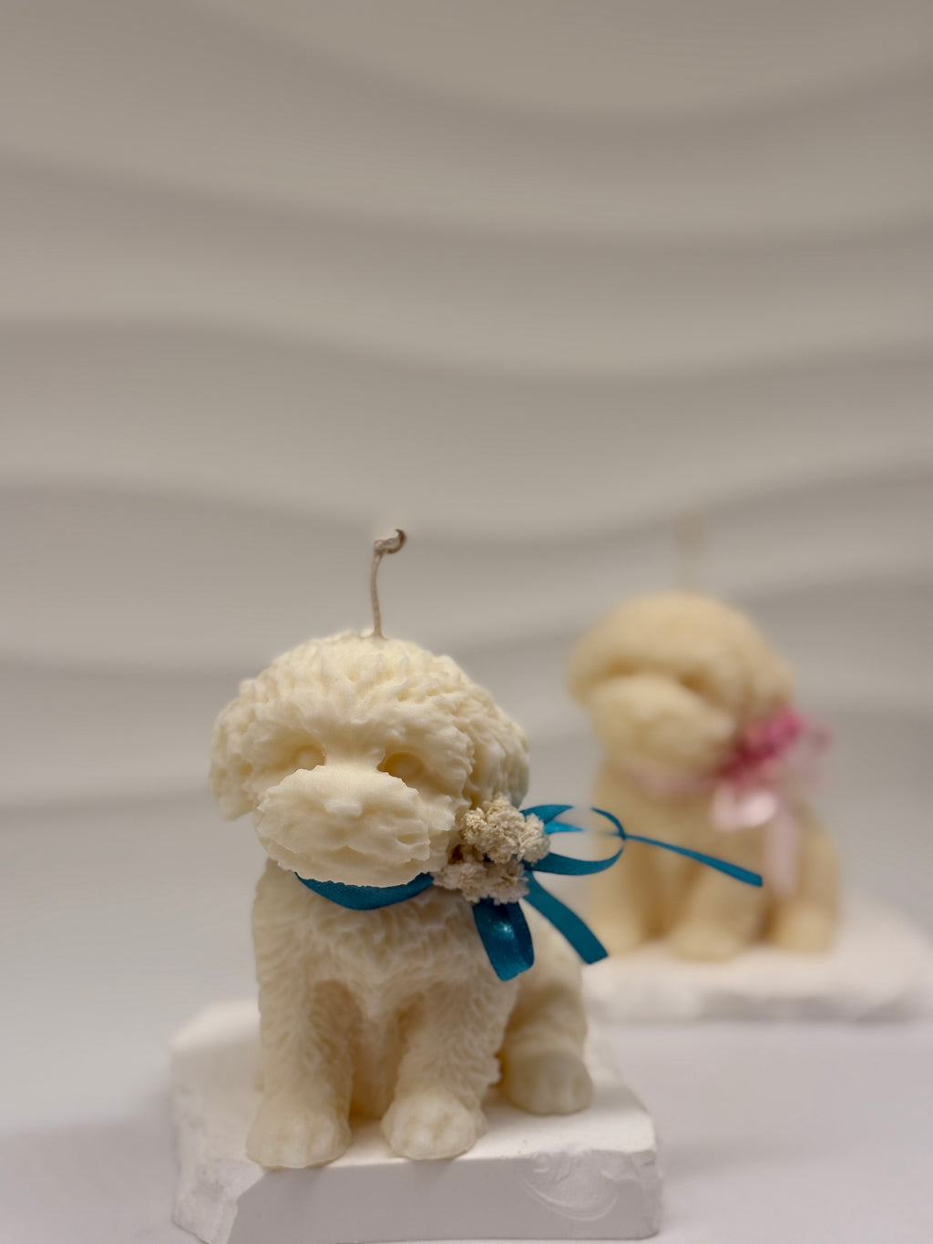 Hunde-Kerze aus Rapswachs – nachhaltige Kerze handgemacht Standkerze Floma Candle & More