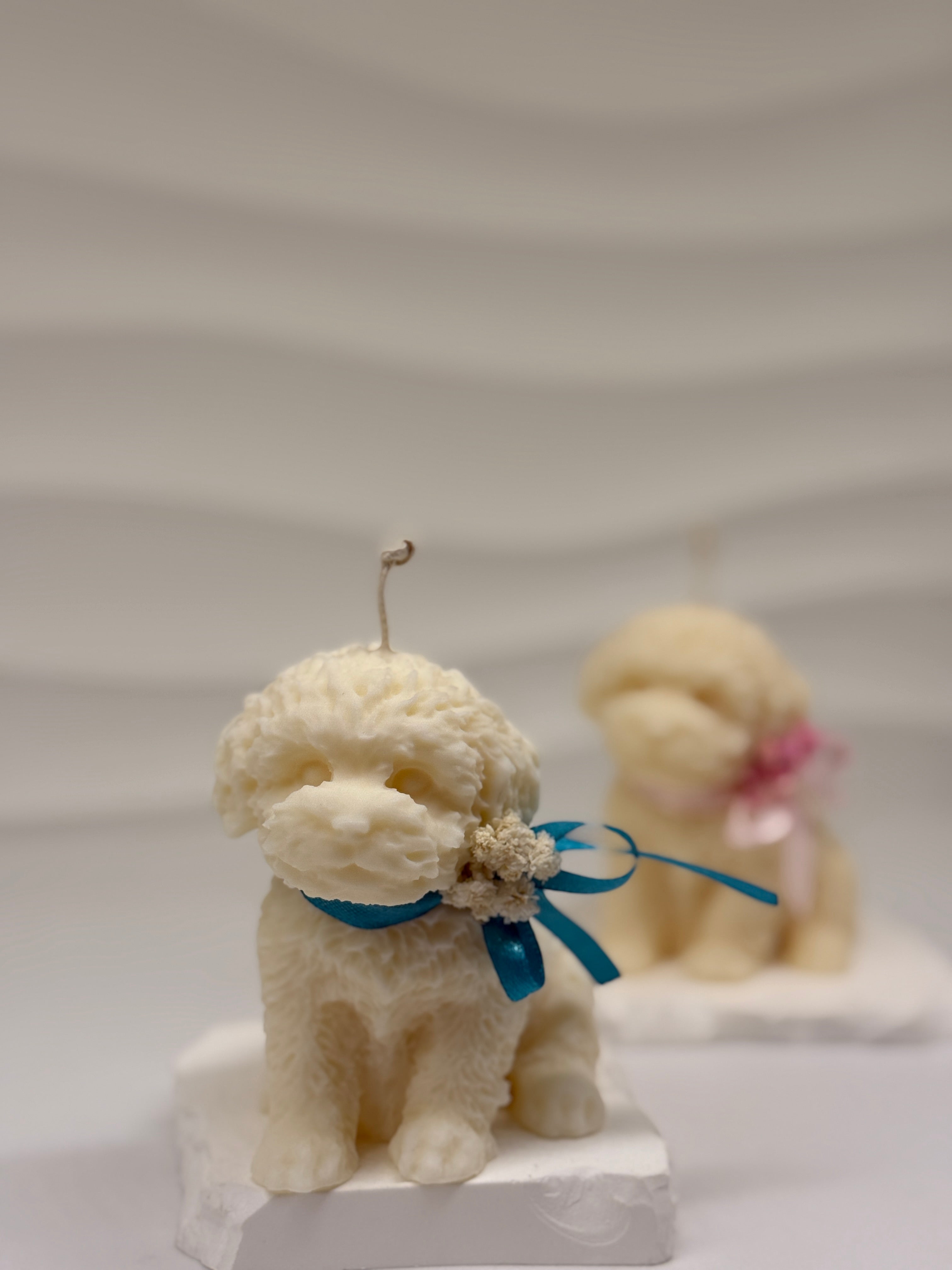 Hunde-Kerze aus Rapswachs – nachhaltige Kerze handgemacht Standkerze Floma Candle & More