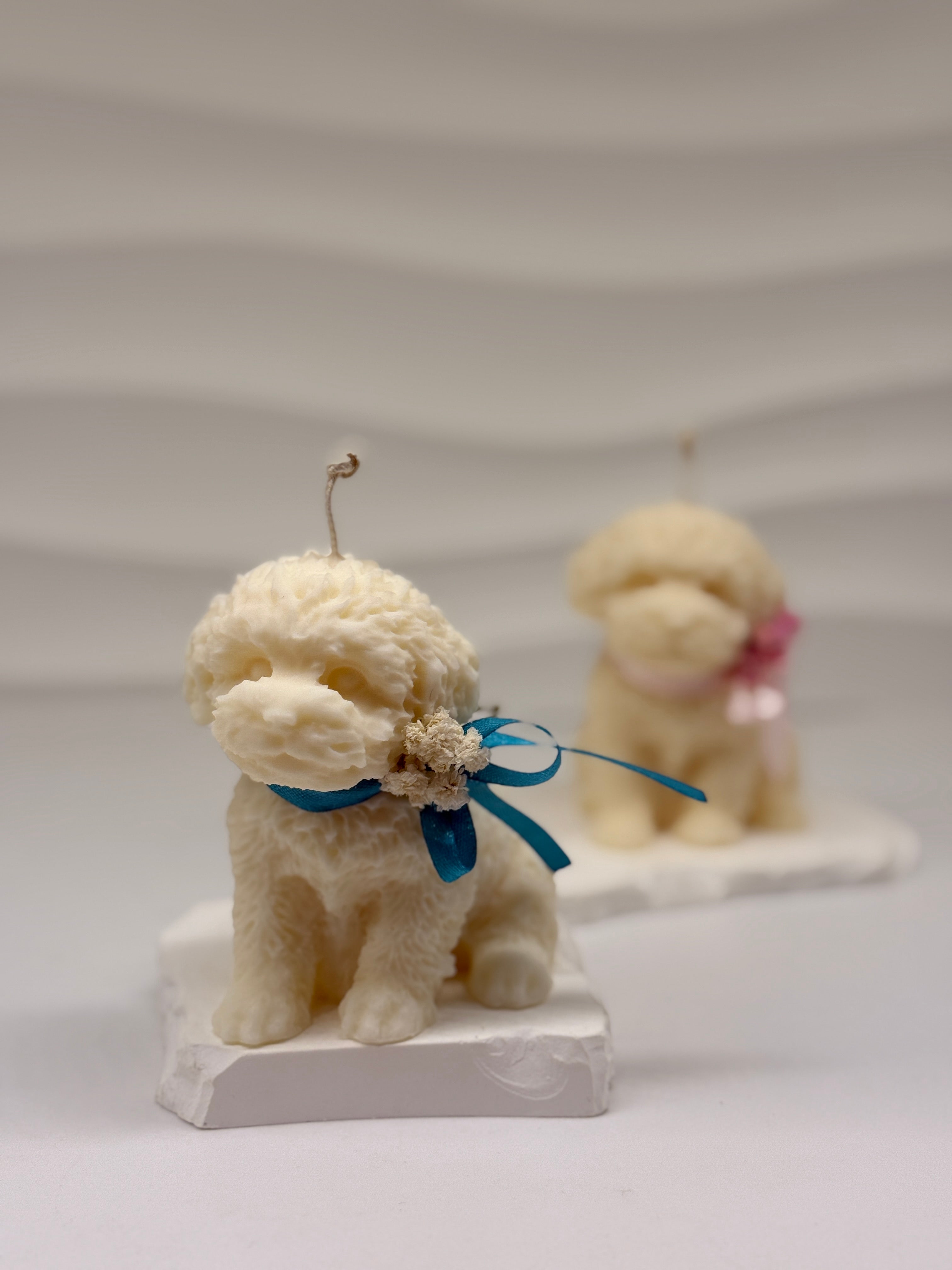 Hunde-Kerze aus Rapswachs – nachhaltige Kerze handgemacht Standkerze Floma Candle & More