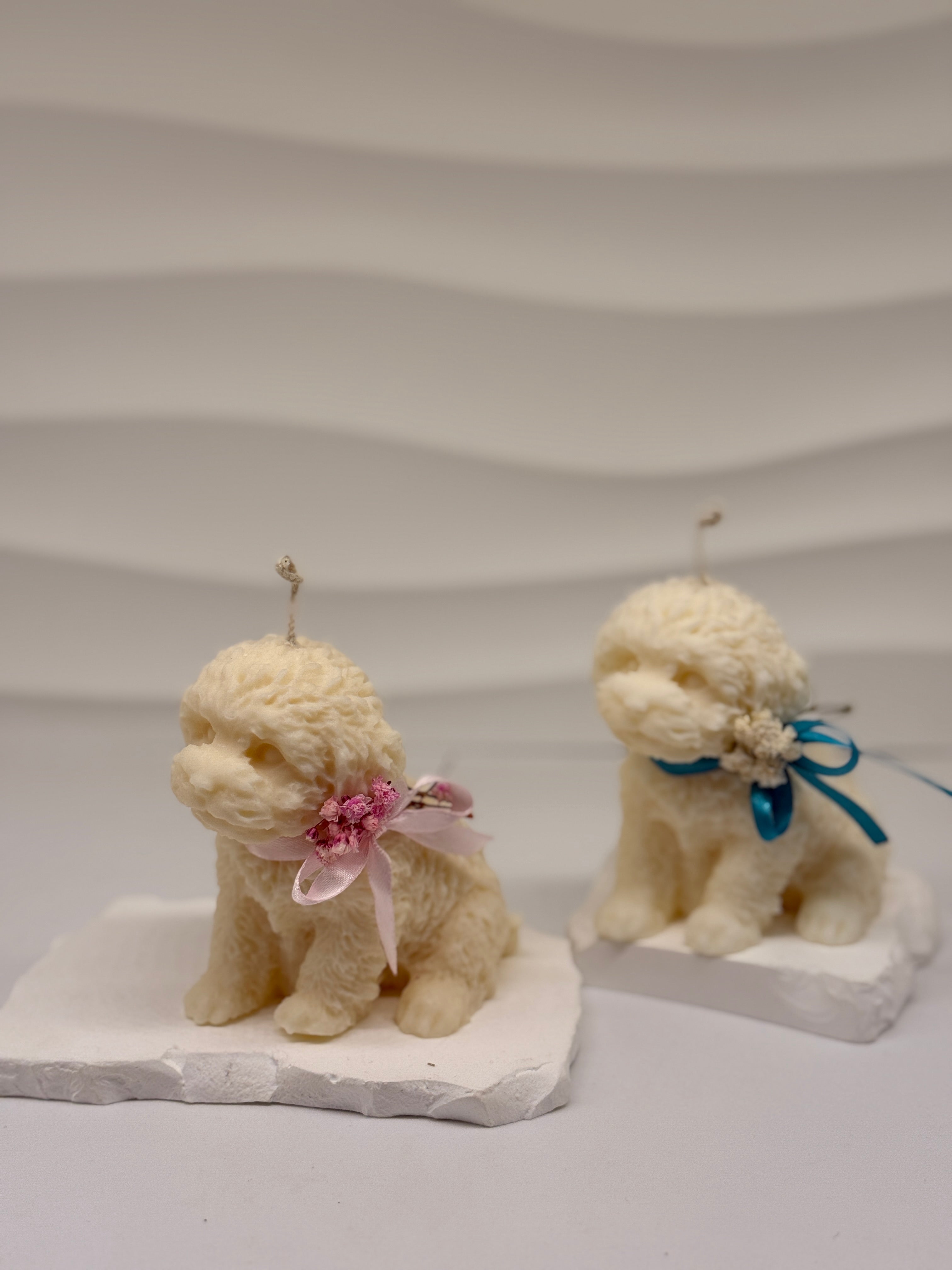 Hunde-Kerze aus Rapswachs – nachhaltige Kerze handgemacht Standkerze Floma Candle & More