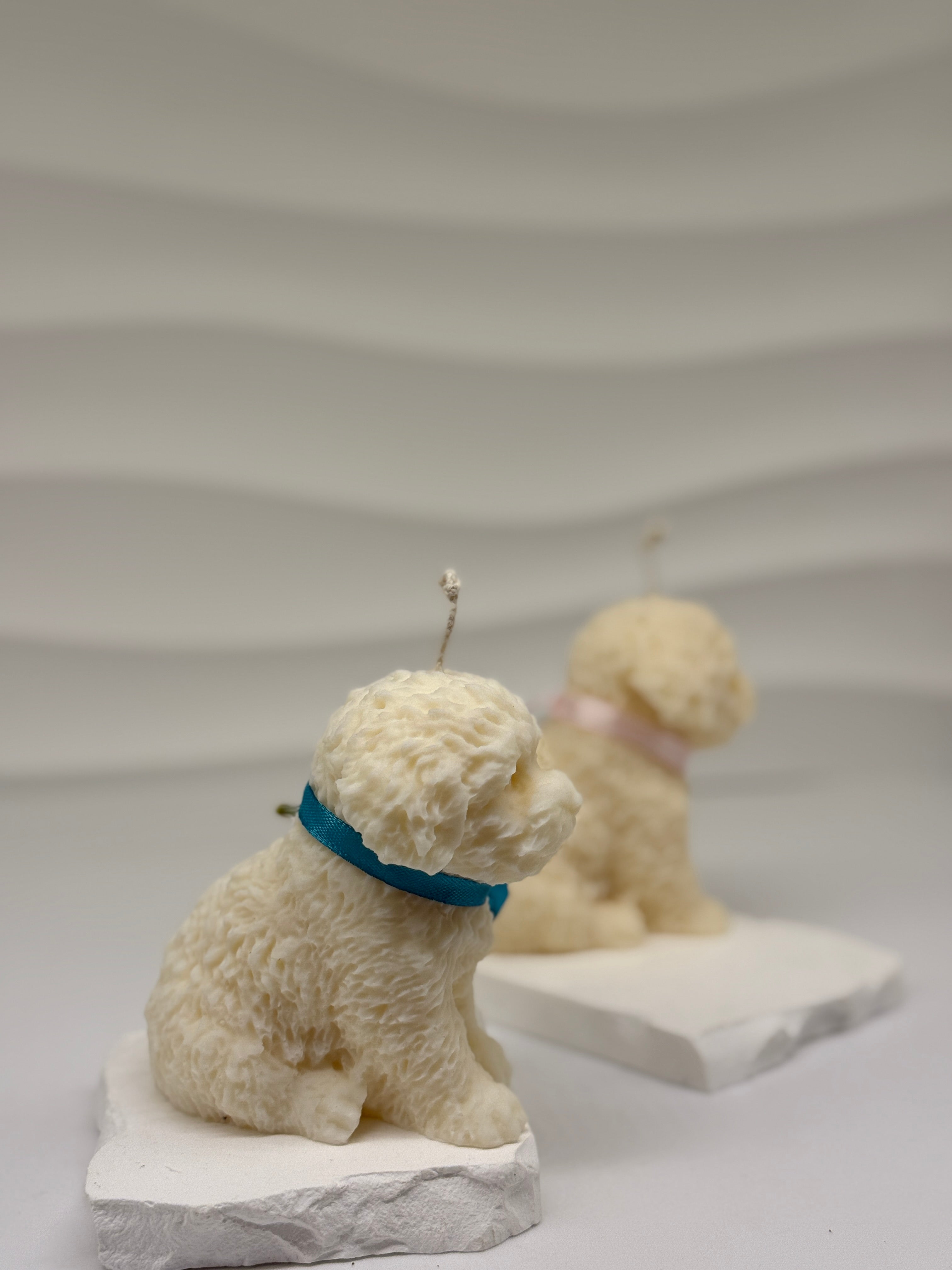 Hunde-Kerze aus Rapswachs – nachhaltige Kerze handgemacht Standkerze Floma Candle & More