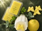 Lemon Bliss Duftwachs Duftwachs Floma Candle & More